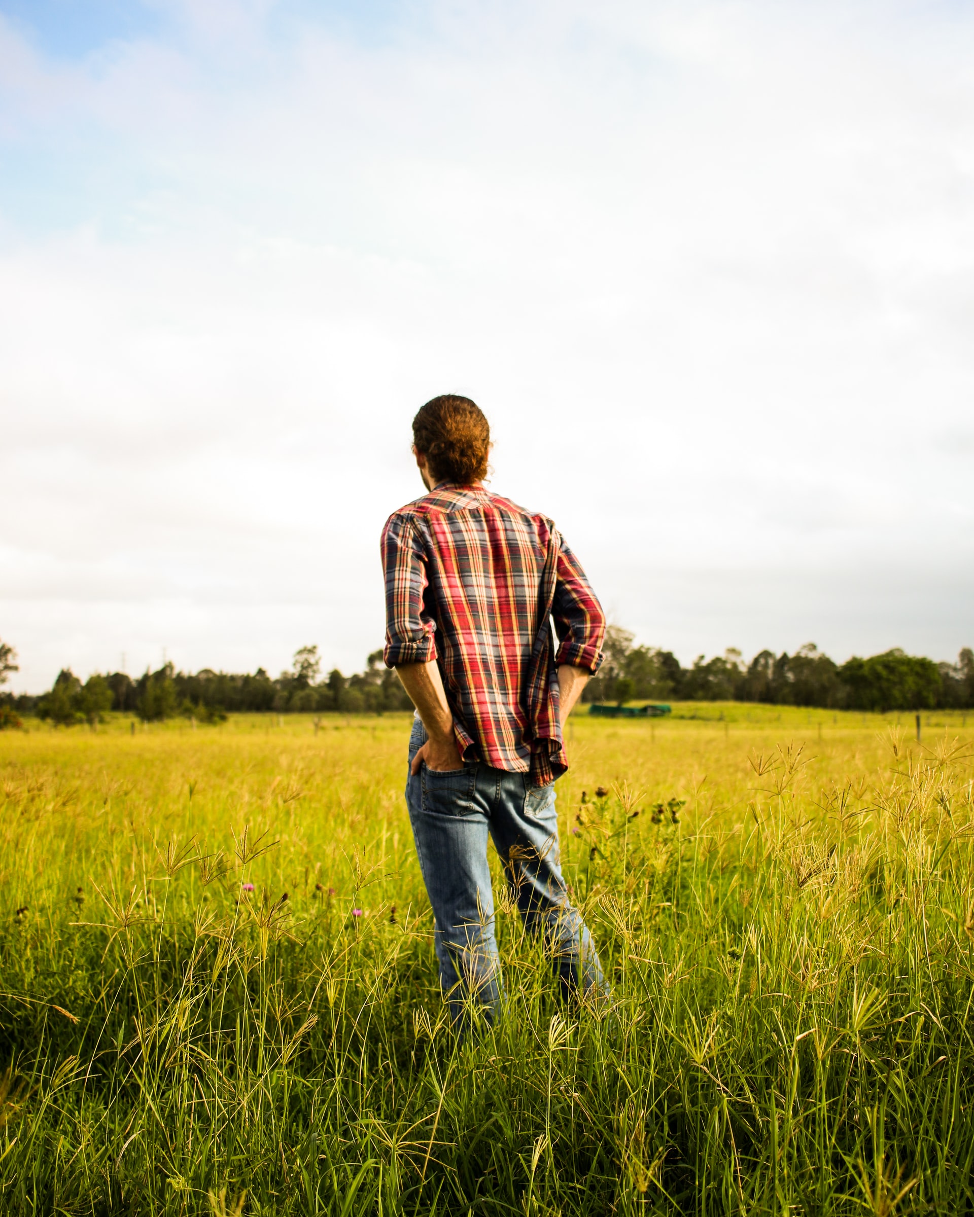 choosing a land